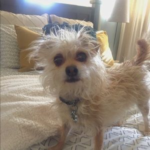 Meet your Posher, Rebecca